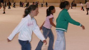 Hunter Ice Stadium - Perths Hotel 4