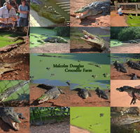 The Malcolm Douglas Crocodile Park - Perths Hotel