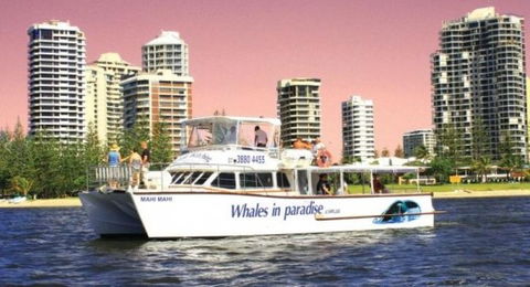 Australian Whale Watching - Perths Hotel 8