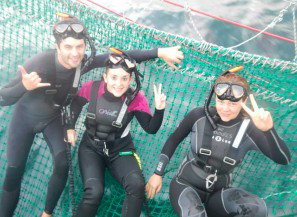 Dolphin Swim Australia - Perths Hotel 7