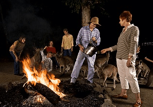 Cairns Night Zoo - Perths Hotel