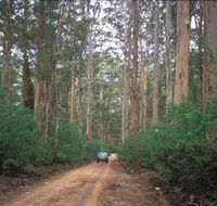 Boranup Drive - Perths Hotel