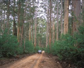 Boranup Drive - Perths Hotel 0