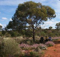 Karlkurla Bushland Park - Perths Hotel