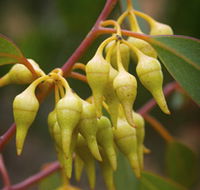 Mount Short Scenic Drive - Perths Hotel