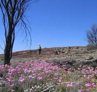 Talgomine Reserve - Perths Hotel