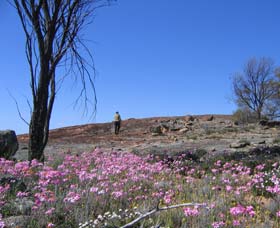 Talgomine Reserve - Perths Hotel 0