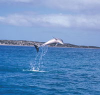 Steep Point - Perths Hotel