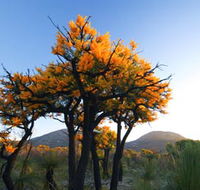 Cape Le Grand National Park - Perths Hotel
