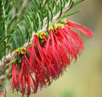 Ethel Daw Scenic Drive - Perths Hotel