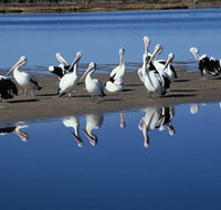 Peel Region Canoe Trails - Perths Hotel