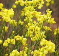 Mount Madden Scenic Drive - Perths Hotel