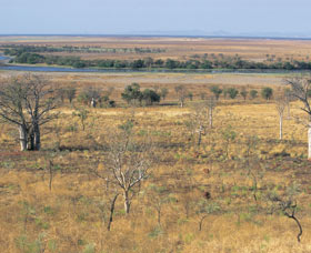 Telegraph Hill - Perths Hotel 0