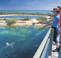 Shark Bay Marine Park - Perths Hotel