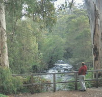 Cascades - Perths Hotel