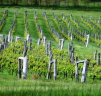 Sienna Estate Winery - Perths Hotel