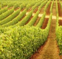 Xanadu Wines - Perths Hotel