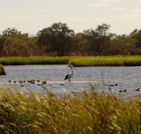 Anytime Adventures in Mandurah  the Peel Region - Perths Hotel