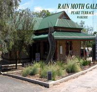 Rain Moth Gallery - Perths Hotel