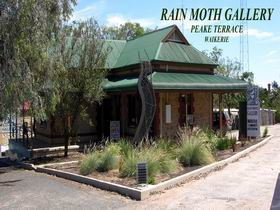 Rain Moth Gallery - Perths Hotel 0