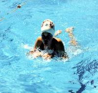 Mount Gambier Aquatic Centre - Perths Hotel