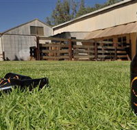 Wilkadene Woolshed Brewery - Perths Hotel