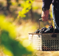 Burge Family Winemakers - Perths Hotel