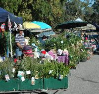 Meadows Monthly Market - Perths Hotel