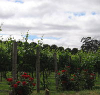Manyara Vineyard - Perths Hotel
