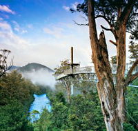 Tahune Adventures Tasmania - Perths Hotel