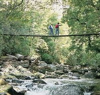 Arve Forest Drive - Perths Hotel