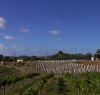 Deep Creek Wines and Alpacas - Perths Hotel