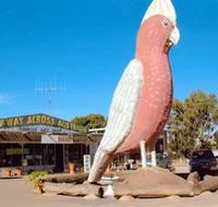 The Big Galah - Perths Hotel