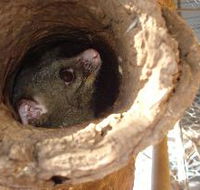 Mulga Sanctuary and Wildlife Park - Perths Hotel