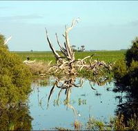 Bool Lagoon Game Reserve and Hacks Lagoon Conservation Park - Perths Hotel