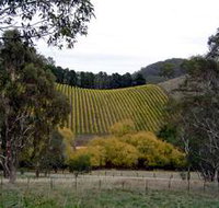 Mt Bera Vineyards - Perths Hotel
