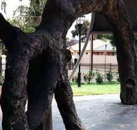 Old Gum Tree - Perths Hotel