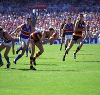 AAMI Stadium Tours - Perths Hotel