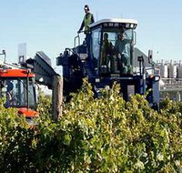 Ballast Stone Estate Wines Pty Ltd - Perths Hotel