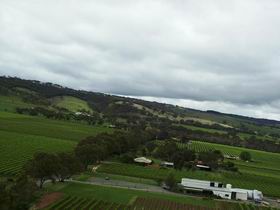 Kangarilla Road Vineyard And Winery - Perths Hotel 0