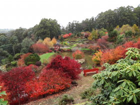Emu Valley Rhododendron Garden - Perths Hotel 0
