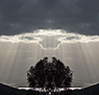 aart. Gallery of Fine Art - Perths Hotel