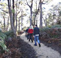 Bridport Walking Track