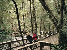 Franklin River Nature Trail - Perths Hotel 0