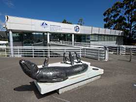 Australia's Antarctic Headquarters - Perths Hotel 0
