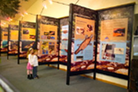 Platypus Experience - Perths Hotel 0