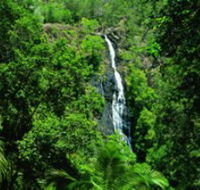 Kondalilla National Park - Perths Hotel