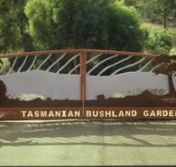 Tasmanian Bushland Garden - Perths Hotel