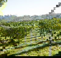 Surveyor's Hill Vineyards - Perths Hotel