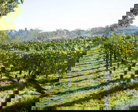 Surveyor's Hill Vineyards - Perths Hotel 0